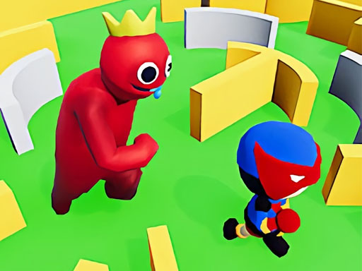 Maze Hide Or Seek Cover
