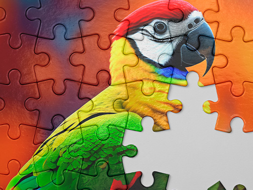 Jigsaw M Cover